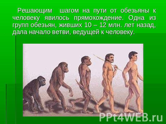 Решающим шагом на пути от обезьяны к человеку явилось прямохождение. Одна из групп обезьян, живших 10 – 12 млн. лет назад, дала начало ветви, ведущей к человеку.
