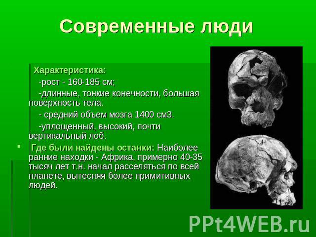 Современные людиХарактеристика: -рост - 160-185 см; -длинные, тонкие конечности, большая поверхность тела. - средний объем мозга 1400 см3. -уплощенный, высокий, почти вертикальный лоб.  Где были найдены останки: Наиболее ранние находки - Африка, при…