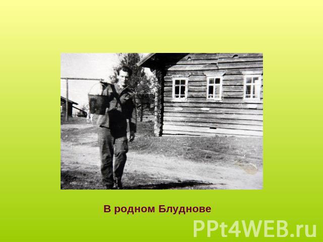 В родном Блуднове