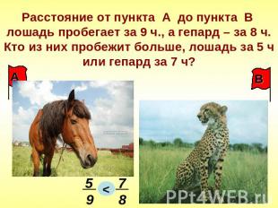 Расстояние от пункта А до пункта В лошадь пробегает за 9 ч., а гепард – за 8 ч.К