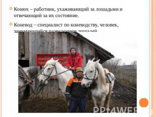 Конюх – работник, ухаживающий за лошадьми и отвечающий за их состояние.Коневод –
