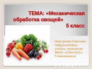 ТЕМА: «Механическая обработка овощей» 5 классНеустроева Светлана Габдульхатовнау