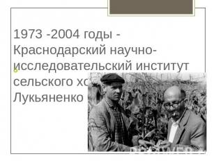 1973 -2004 годы - Краснодарский научно-исследовательский институт сельского хозя