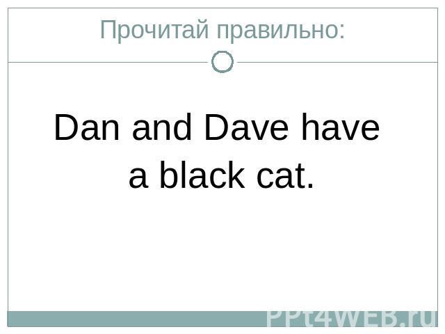 Прочитай правильно:Dan and Dave have a black cat.