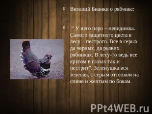 Виталий Бианки о рябчике: “ У него перо – невидимка. Самого защитного цвета в ле