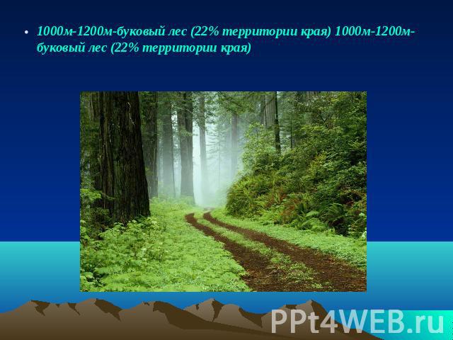 1000м-1200м-буковый лес (22% территории края) 1000м-1200м-буковый лес (22% территории края)