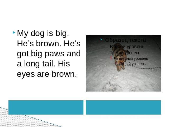 My dog is big. He’s brown. He’s got big paws and a long tail. His eyes are brown.
