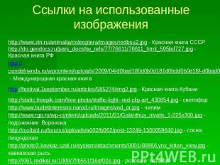 Ссылки на использованные изображенияhttp://www.zin.ru/animalia/coleoptera/images