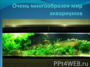 Очень многообразен мир аквариумов
