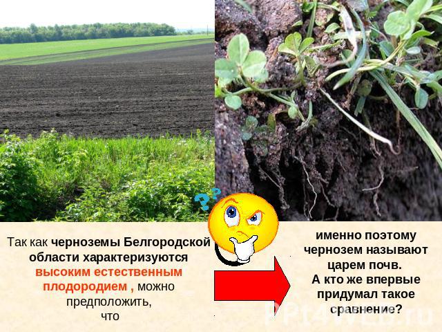 Так как черноземы Белгородской области характеризуются высоким естественным плодородием , можно предположить, чтоименно поэтому чернозем называют царем почв. А кто же впервые придумал такое сравнение?