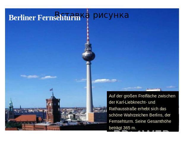 Berliner FernsehturmAuf der großen Freifläche zwischen der Karl-Liebknecht- und Rathausstraße erhebt sich das schöne Wahrzeichen Berlins, der Fernsehturm. Seine Gesamthöhe beträgt 365 m.