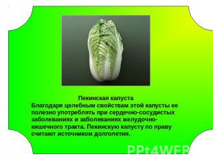 Пекинская капустаБлагодаря целебным свойствам этой капусты ее полезно употреблят