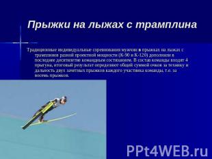 Традиционные индивидуальные соревнования мужчин в прыжках на лыжах с трамплинов