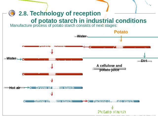 2.8. Technology of reception of potato starch in industrial conditionsManufacture process of potato starch consists of next stages: