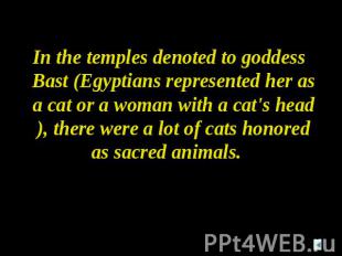 In the temples denoted to goddess Bast (Egyptians represented her as a cat or a