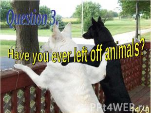 Have you ever left off animals?