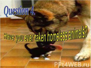 Have you ever taken homeless animals?