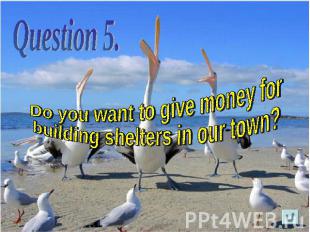 Do you want to give money for building shelters in our town?