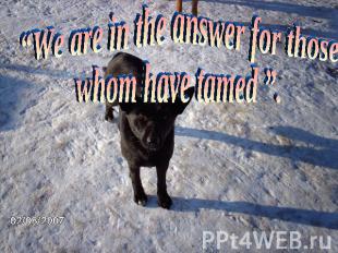 “We are in the answer for those whom have tamed ”.