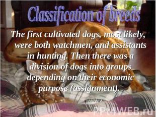 The first cultivated dogs, most likely, were both watchmen, and assistants in hu