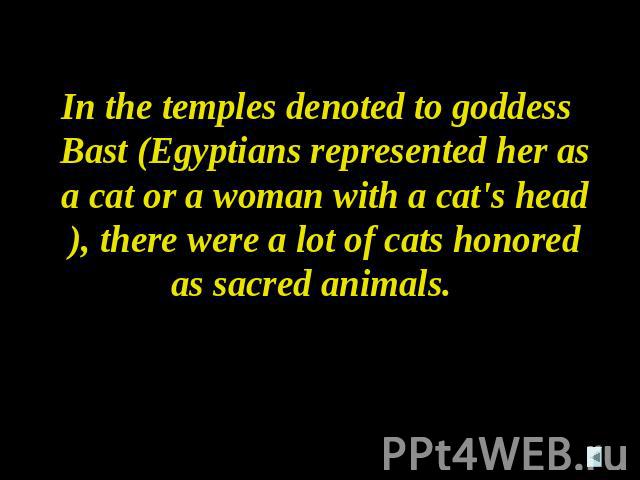 In the temples denoted to goddess Bast (Egyptians represented her as a cat or a woman with a cat's head), there were a lot of cats honored as sacred animals.