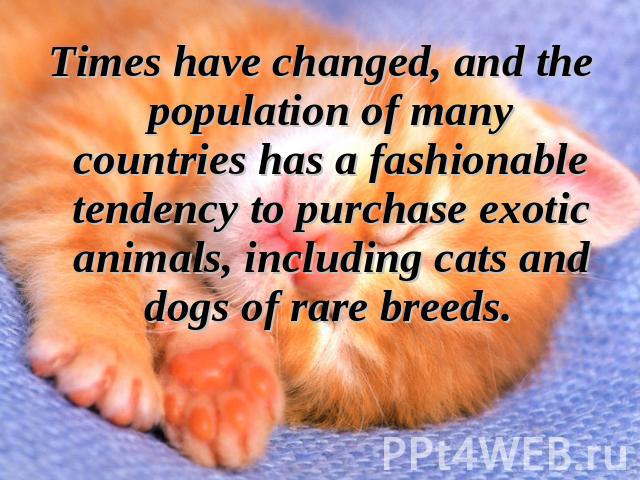 Times have changed, and the population of many countries has a fashionable tendency to purchase exotic animals, including cats and dogs of rare breeds.