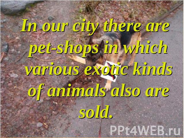 In our city there are pet-shops in which various exotic kinds of animals also are sold.