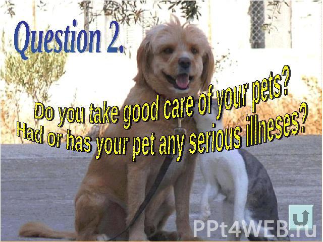 Do you take good care of your pets?Had or has your pet any serious illneses?