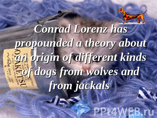 Conrad Lorenz has propounded a theory about an origin of different kinds of dogs from wolves and from jackals
