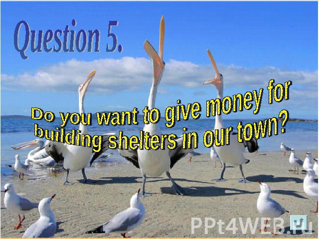 Do you want to give money for building shelters in our town?