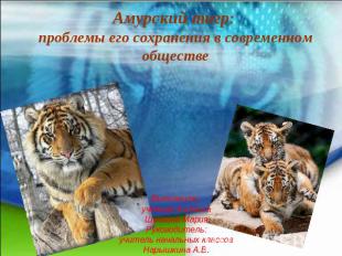 Амурский тигр: проблемы его сохранения в современном обществеВыполнила: ученица