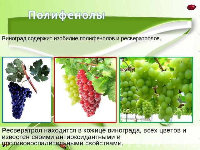 Виноград содержит изобилие полифенолов и ресвератролов. Ресвератрол находится в кожице винограда, всех цветов и известен своими антиоксидантными и противовоспалительными свойствами.
