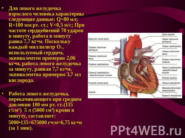 Для левого желудочка взрослого человека характерны следующие данные: Q=80 мл; R=100 мм рт. ст.; V=0,5 м/с; При частоте сердцебиений 70 ударов в минуту, работа в минуту равна 7,7 кг•м. Поскольку каждый миллилитр O2 , используемый сердцем, эквиваленте…