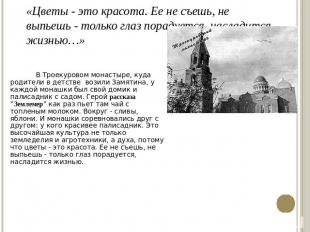 «Цветы - это красота. Ее не съешь, не выпьешь - только глаз порадуется, насладит