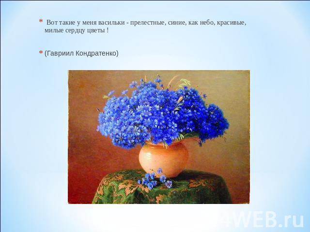 Вот такие у меня васильки - прелестные, синие, как небо, красивые, милые сердцу цветы !(Гавриил Кондратенко)