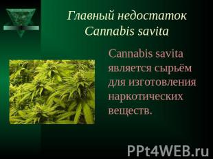 Главный недостаток Cannabis savita Cannabis savita является сырьём для изготовле