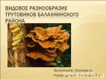 Видовое разнообразие трутовиков Балахнинского района