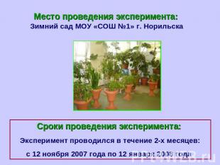 Место проведения эксперимента: Зимний сад МОУ «СОШ №1» г. НорильскаСроки проведе