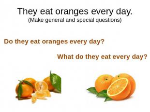 They eat oranges every day.(Make general and special questions)