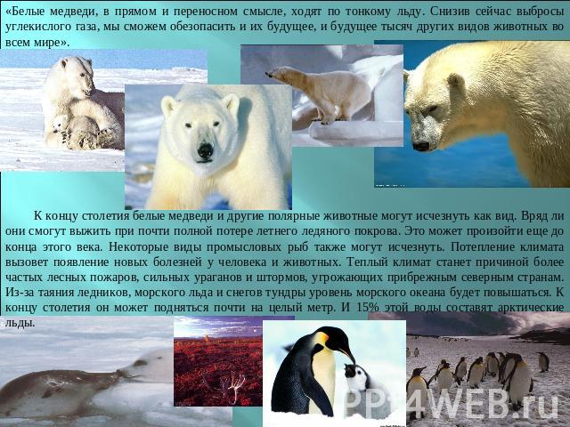 «Белые медведи, в прямом и переносном смысле, ходят по тонкому льду. Снизив сейчас выбросы углекислого газа, мы сможем обезопасить и их будущее, и будущее тысяч других видов животных во всем мире».К концу столетия белые медведи и другие полярные жив…