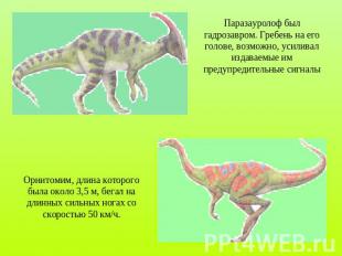Паразауролоф был гадрозавром. Гребень на его голове, возможно, усиливал издаваем