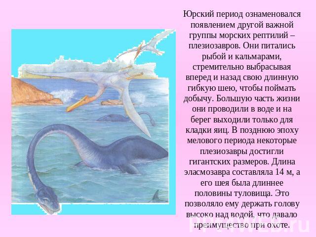 Юрский период ознаменовался появлением другой важной группы морских рептилий – плезиозавров. Они питались рыбой и кальмарами, стремительно выбрасывая вперед и назад свою длинную гибкую шею, чтобы поймать добычу. Большую часть жизни они проводили в в…