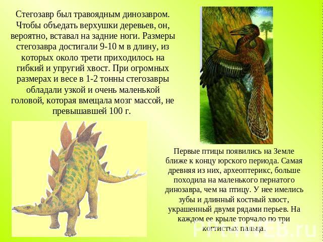 Стегозавр был травоядным динозавром. Чтобы объедать верхушки деревьев, он, вероятно, вставал на задние ноги. Размеры стегозавра достигали 9-10 м в длину, из которых около трети приходилось на гибкий и упругий хвост. При огромных размерах и весе в 1-…