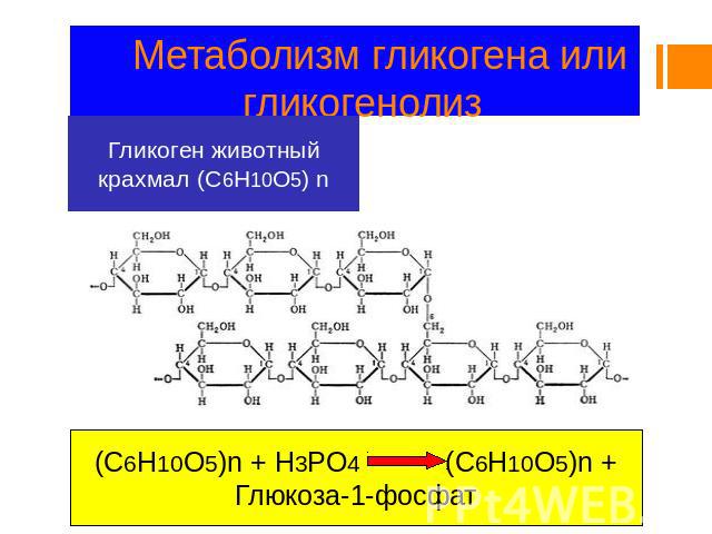 Метаболизм гликогена или гликогенолиз Гликоген животный крахмал (C6H10O5) n (C6H10O5)n + H3PO4 (C6H10O5)n + Глюкоза-1-фосфат