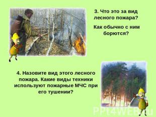 3. Что это за вид лесного пожара? Как обычно с ним борются? Назовите вид этого л