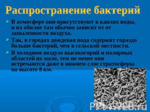 Распространение бактерий В атмосфере они присутствуют в каплях воды, и их обилие