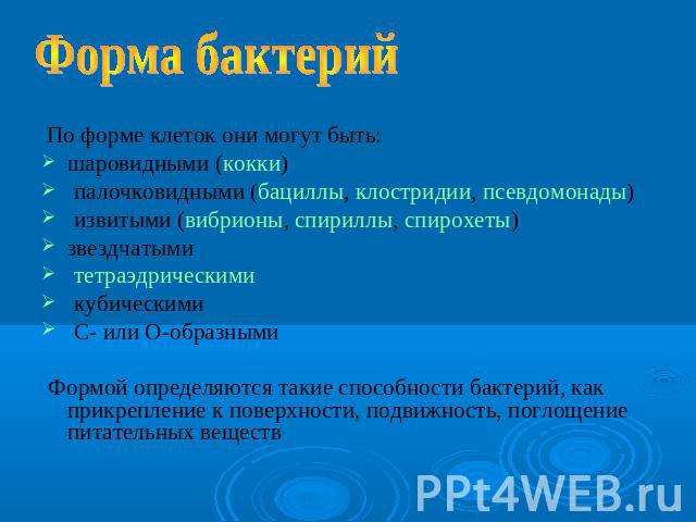 Форма бактерий По форме клеток они могут быть: шаровидными (кокки) палочковидными (бациллы, клостридии, псевдомонады) извитыми (вибрионы, спириллы, спирохеты) звездчатыми тетраэдрическими кубическими C- или O-образными Формой определяются такие спос…