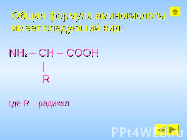 Общая формула аминокислоты имеет следующий вид: NH2 – CH – COOH | R где R – радикал