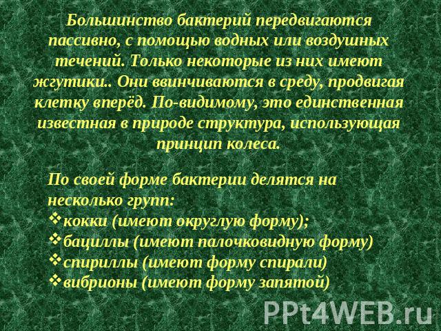 Большинство бактерий передвигаются пассивно, с помощью водных или воздушных течений. Только некоторые из них имеют жгутики.. Они ввинчиваются в среду, продвигая клетку вперёд. По-видимому, это единственная известная в природе структура, использующая…