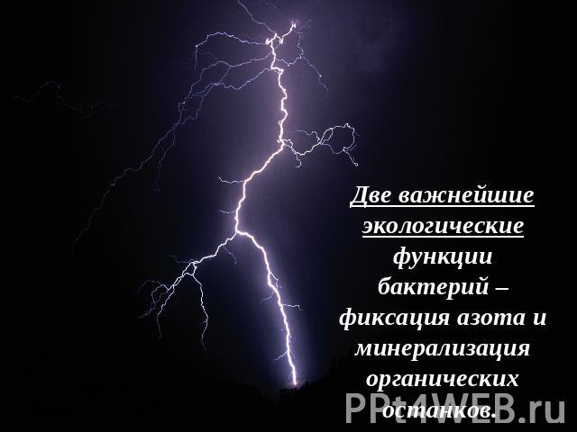 Две важнейшие экологические функции бактерий – фиксация азота и минерализация органических останков.